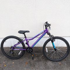 Adventure 240 Bike
