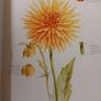 The Water Colour Flower Painter A-Z Book Image 3
