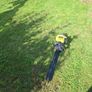 hedge trimmer Image 3