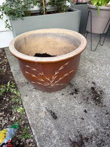 large ceramic plant pot