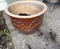 large ceramic plant pot