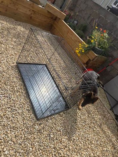 dog crate