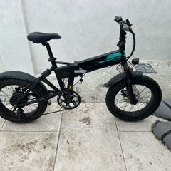 Fiido M1 Pro Electric Bike