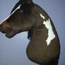 hobby horse Image 5