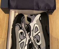 Dior B30