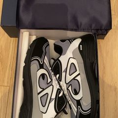Dior B30