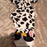 Dog Cow Halloween Costume Image 3