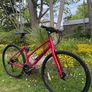 Trek FX 3 Ladies Hybrid Bike Immaculate Condition Size M Image 3