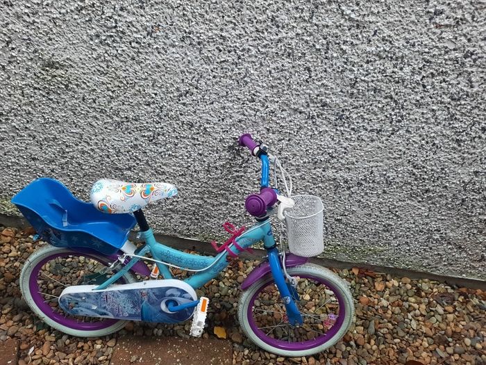Frozen 10 inch bike