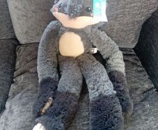 Hanging Racoon Soft Toy