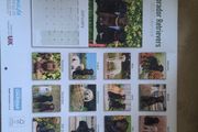 Labrador calender 2020