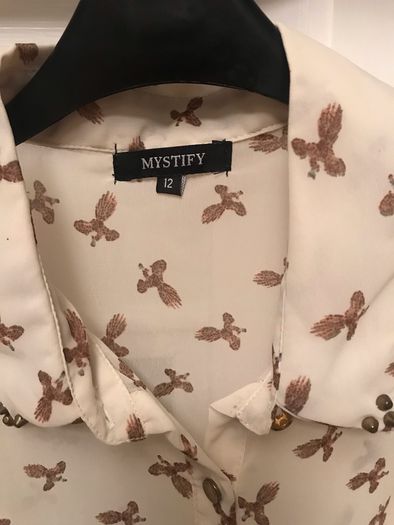 Chiffon Shirt