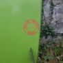 Pinao 7'2 Surf board Image 2
