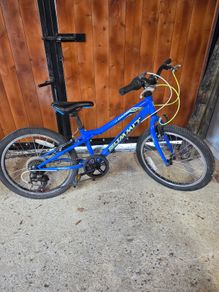 Boys bike