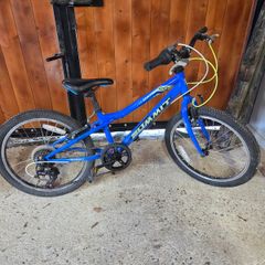 Boys bike