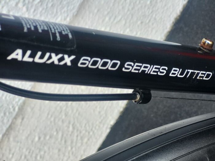 Giant Rock Large Bike