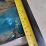 Lovely Framed Print Of Dolphin Sea Life Marine. Image 5