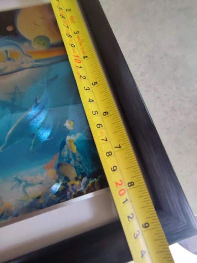 Lovely Framed Print Of Dolphin Sea Life Marine.