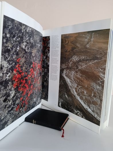 Mitt Lappland: Sarek Kebnekaise Torne Trask by Sven Hornell. (Signed by the Author) (RB108)