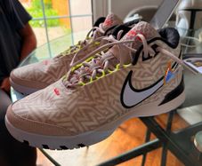 LeBron Nike NXXT Genisus