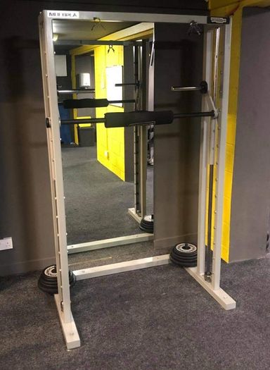 Technogym Multipla and weights