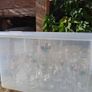Bundle of 16 Assorted Branded Beer, Lager & Pint Glasses Image 3