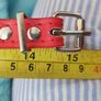 Beautiful Dog Collar Image 4