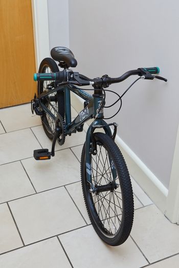 Raleigh Zero 20-Inch Children Bike