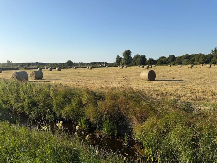 Hay for Sale