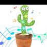 Dancing Cactus Image 3