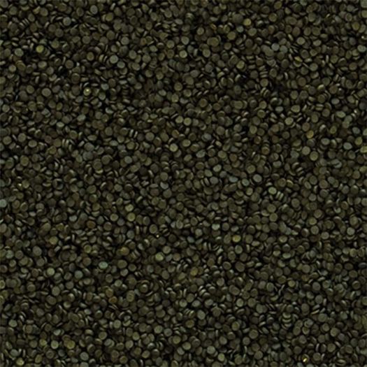 Fish Food Tropical Super Spirulina Forte Granulat 100ml