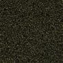Fish Food Tropical Super Spirulina Forte Granulat 100ml Image 2