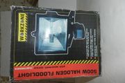 Security Light