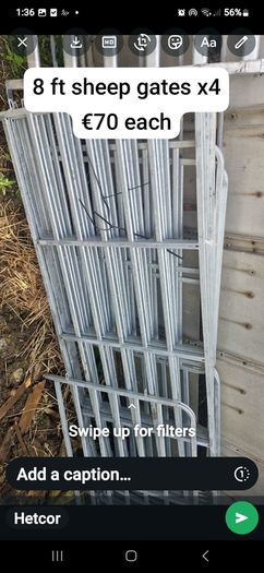 calf gates 8 4fts 4 five ft 4 x8 ft light gates and 8 ft hevey calf gates x8 price in pictures