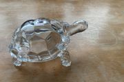 crystal turtle