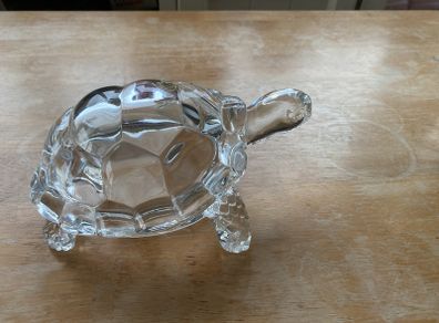 crystal turtle