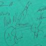 Ireland Rugby Signed Canterbury Jersey Irish Image 4