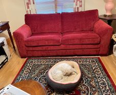 Couch Bed