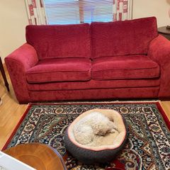 Couch Bed