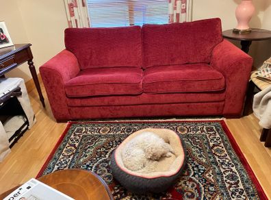 Couch Bed