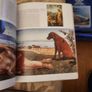 Mythological Painting. Published By Phaidon. Large Volume Paperback In Good Condition. Image 10