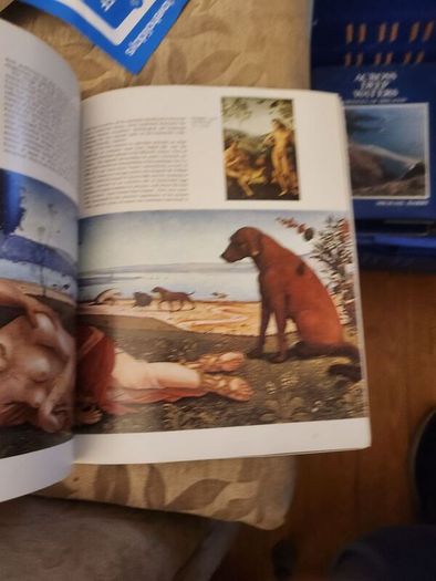 Mythological Painting. Published By Phaidon. Large Volume Paperback In Good Condition.
