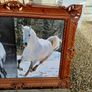 Vintage Equestrian Picture Image 2