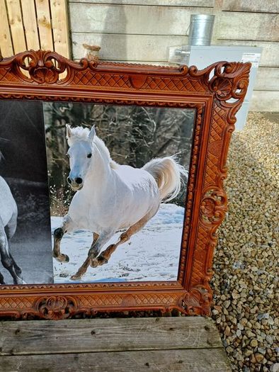 Vintage Equestrian Picture