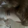 Leonardo Collection porcelain doll Image 4