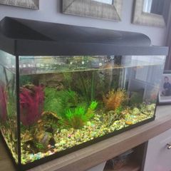 Fish tank