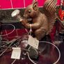 Squirrel Lamp Image 2