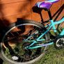 Kids Apollo bike 24" Image 2