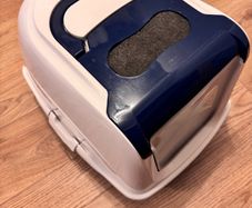 cat litter