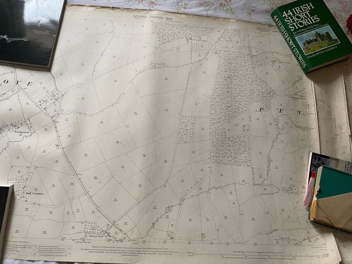 maps  have a set of early 20th-century Ordnance Survey (OS) County Series maps for Somerset, England 1903